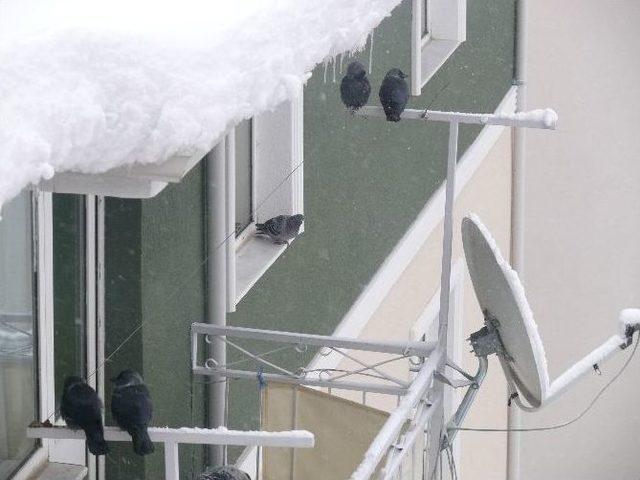 Bilecik&rsquo;te Kar Yağışlı Fırtına 3