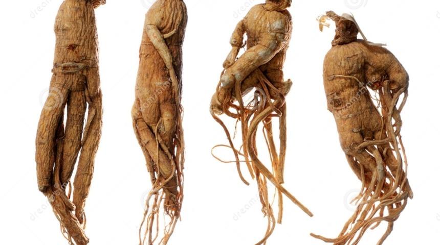 Bu bitkiler cinsel g&uuml;c&uuml; artırıyor