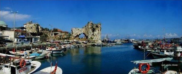 Hereklioğlu: "d&uuml;nyadaki İlk Organ Nakli Yumurtalık&rsquo;ta Yapıldı" 2