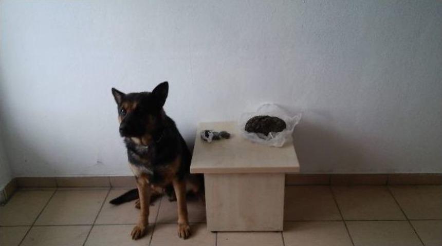 Jandarmadan Ka&ccedil;ak İ&ccedil;ki Ve Esrar Operasyonu