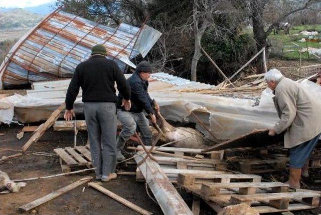 Antalya'da Hortum Seraları Vurdu (2)