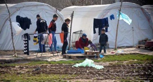 Ezidiler, Sincar a &Ouml;zerlik İstiyor 3