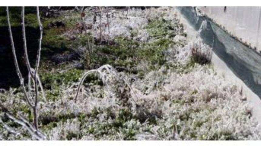 Aydın&rsquo;da Zirai Don Ve Buzlanma Uyarısı