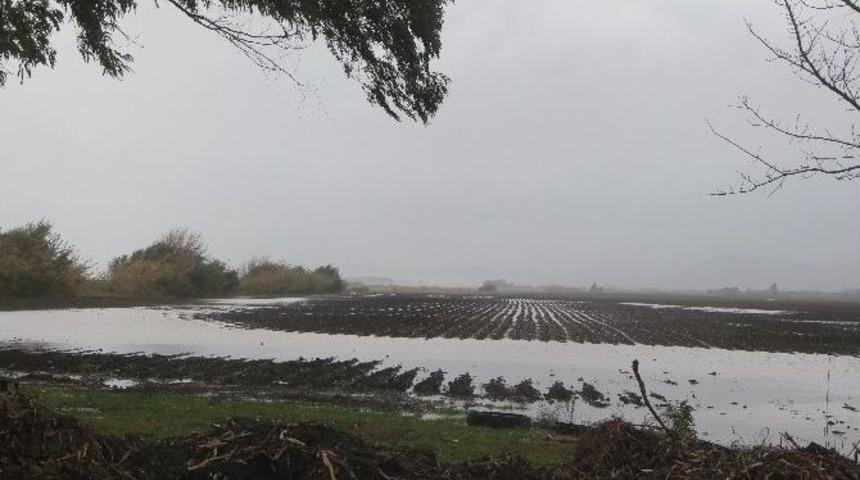 D&ouml;rtyol&rsquo;da Yağış Ve Fırtına Hayatı Olumsuz Etkiledi