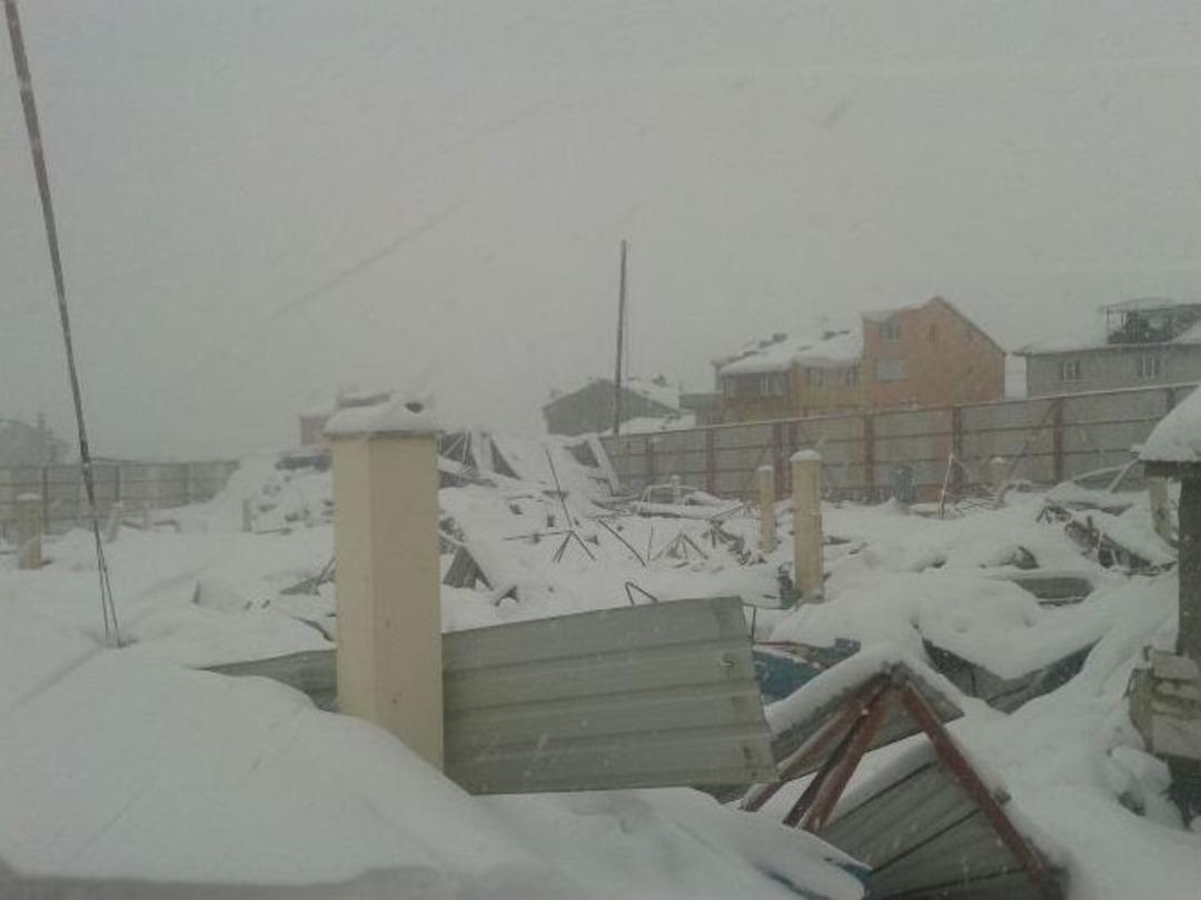 S&ouml;ğ&uuml;t Yaralarını Sarmaya Devam Ediyor