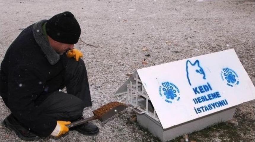 Sel&ccedil;uklu Da Hayvanlar Unutulmadı