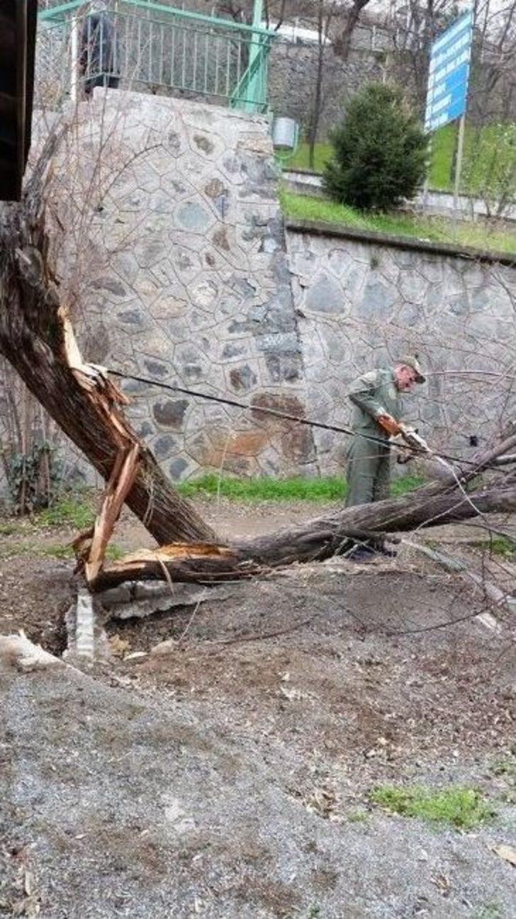 Artvin’de Şiddetli Fırtına G1