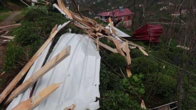 Rize’De Fırtına Çatıları Uçurdu, Ağaçları Devirdi