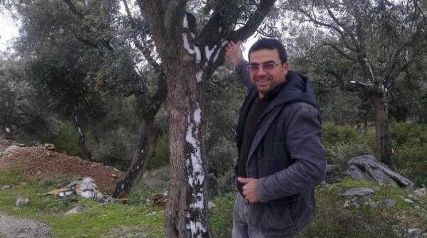 Didim'de Tepelere Kar Yağdı