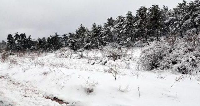 Turgutlu'da Kar 8 Mahallenin Yolunu Kapattı