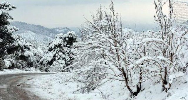 Turgutlu'da Kar 8 Mahallenin Yolunu Kapattı