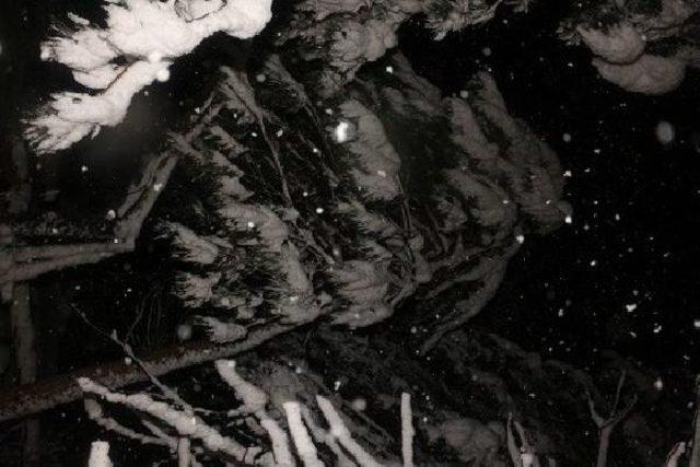 Şile-Gebze Sınırında Yoğun Kar Yağışı 1