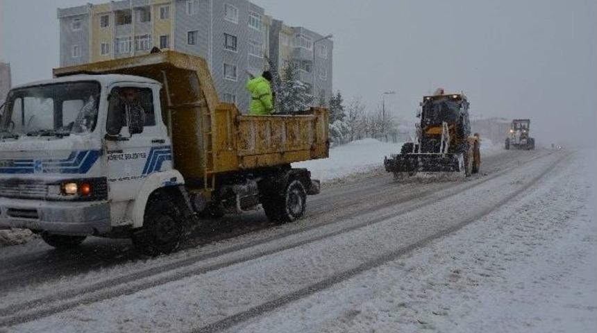 Körfez, Karla Mücadeleyi Aralıksız Sürdürüyor