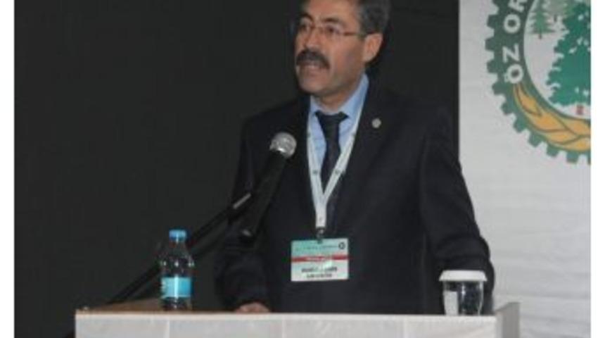 Öz Orman-iş Amasya Şube Başkanlığına Ramazan Şahin Seçildi