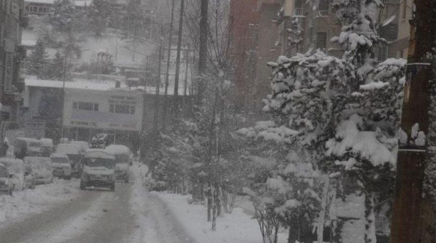 Hakkari Kara G&ouml;m&uuml;ld&uuml;