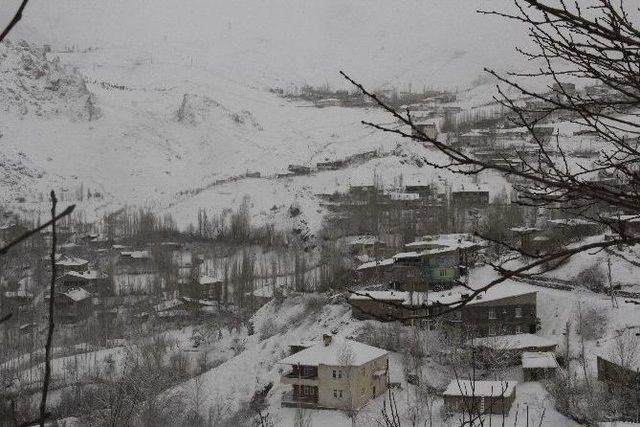 Hakkari Kara Gömüldü 1