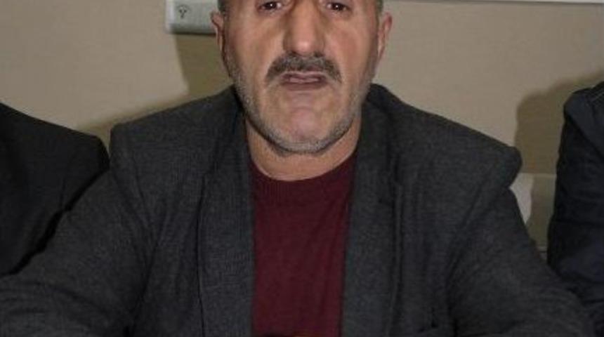 İneg&ouml;l&rsquo;de Hamsi Festivali