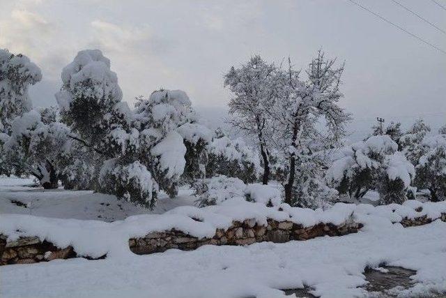 Karacasu’da Kar Ve Buzlanmayla Mücadele Devam Ediyor