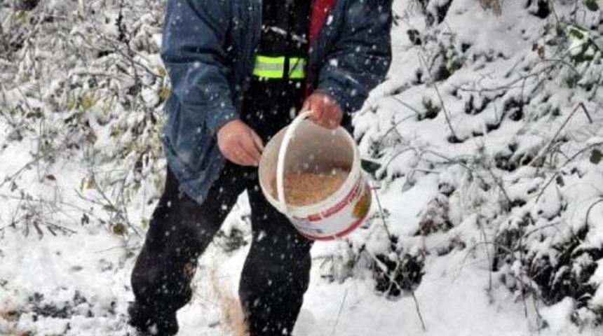 Bartın'da Yaban Hayvanları I&ccedil;in Doğaya Yem Bırakıldı