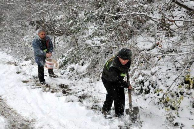 Bartın'da Yaban Hayvanları Için Doğaya Yem Bırakıldı