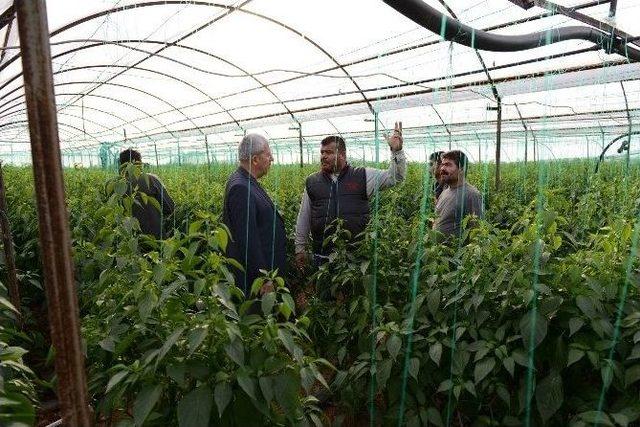 Kumluca’da Yaralar Sarılmaya Çalışılıyor 1