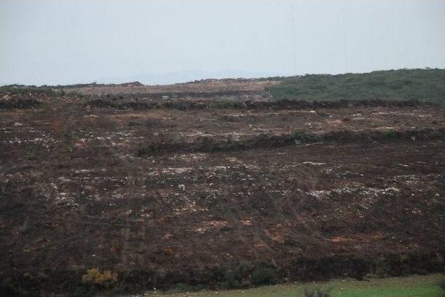 Didim’de Hazine Arazilerine Zarar Verildiği İddiası