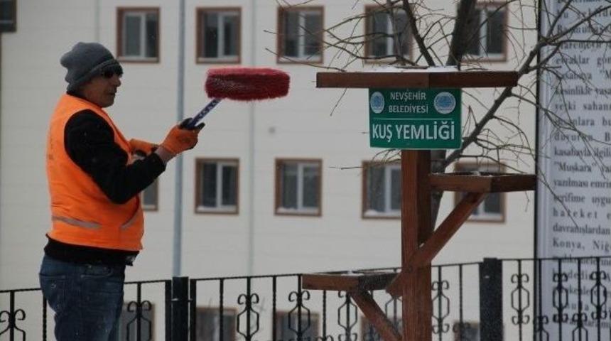 Belediye Ekipleri Kuşlara Yem Bıraktı