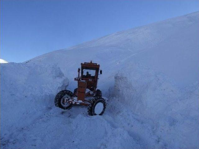 Giresun’da Kar Yağışı Okulları Tatil Ettirdi