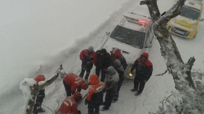 Devrilen Ağa&ccedil;lar Uludağ Yolunu Trafiğe Kapattı