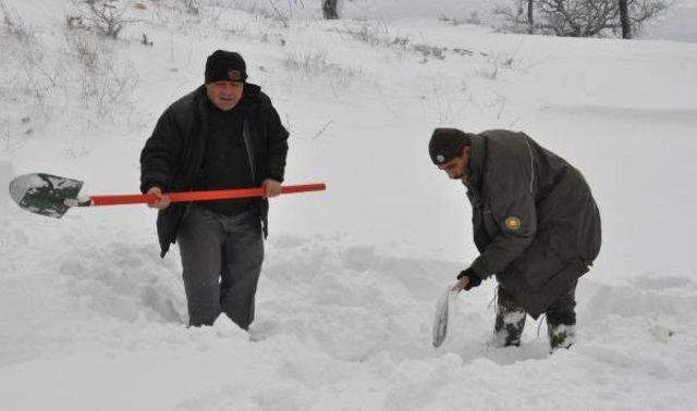 Denizli'de Kuşlar Için Yem Bırakıldı