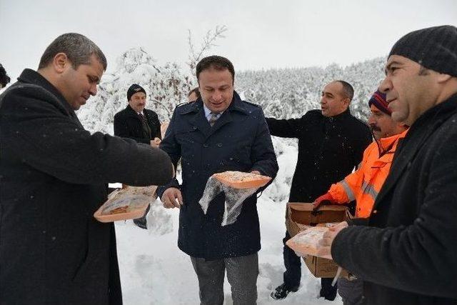 Erbaa’da Yaban Hayvanları İçin Doğaya Yem Bırakıldı