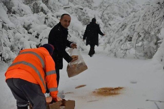 Erbaa’da Yaban Hayvanları İçin Doğaya Yem Bırakıldı