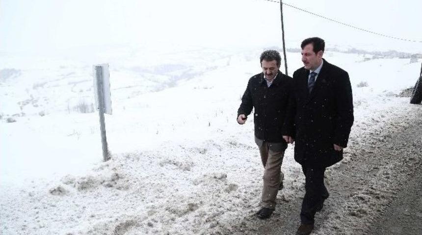 Tok, Karla M&uuml;cadele Mesaisinde