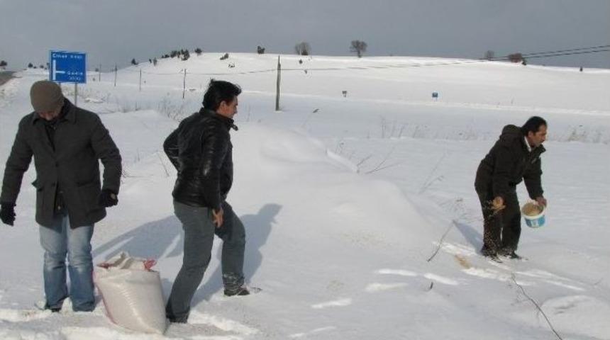 Hisarcık&rsquo;ta Kuşlar İ&ccedil;in Doğaya Yem Bırakıldı