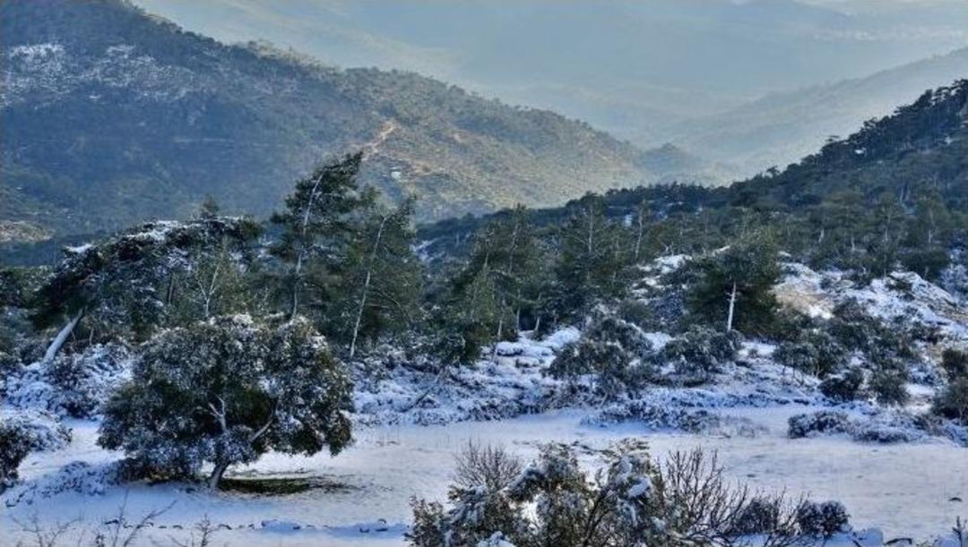 Milas&rsquo;ta Antik Kentte Kar S&uuml;rprizi