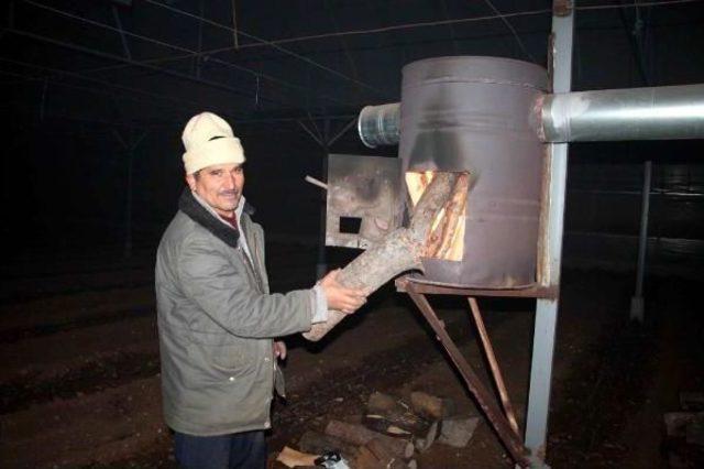 Fethiye'de Sera Üreticisinden Sobalı Don Nöbeti