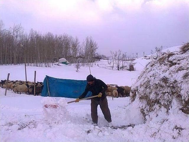 Kar Yağışı Ve Soğuk Hava &Ccedil;ift&ccedil;ileri Vurdu 1