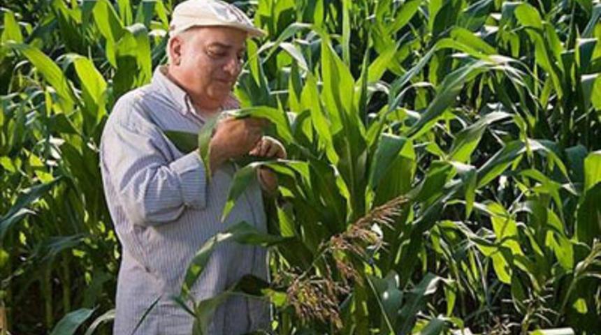 Armağan &Ccedil;ağlayan