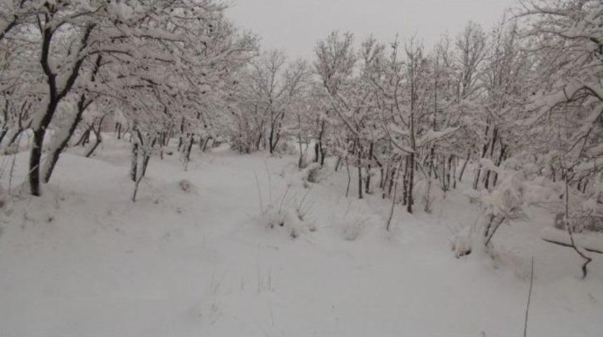 Şırnak&rsquo;ta Kar Hayatı Olumsuz Etkiledi