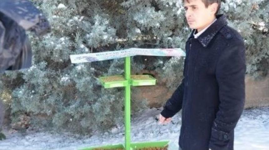 Bilecik Belediye Veteriner İşleri M&uuml;d&uuml;r&uuml; Nedret Avcı