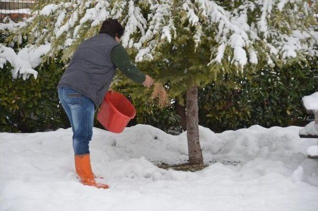 Bilecik&rsquo;te &Ccedil;ileli Kış Hayatı 2