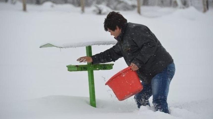Bilecik&rsquo;te Sokak Hayvanlarına Yardım Eli