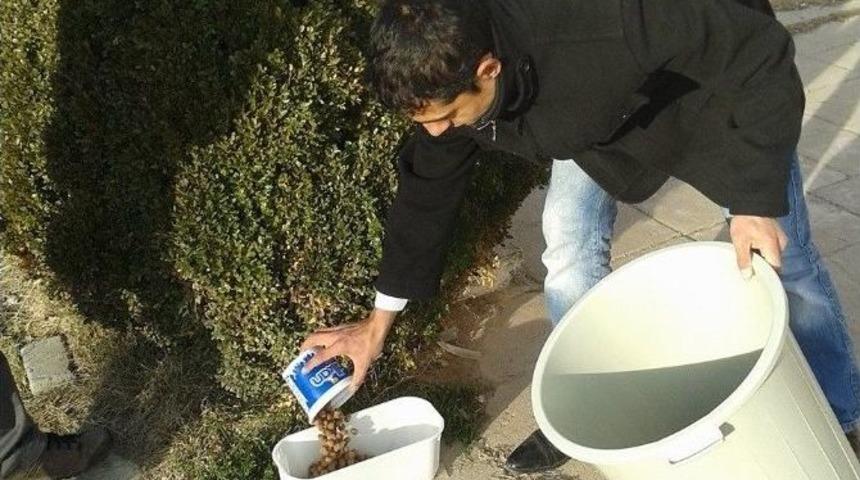 Kırklareli &rsquo;de Sokak Hayvanları Unutulmadı