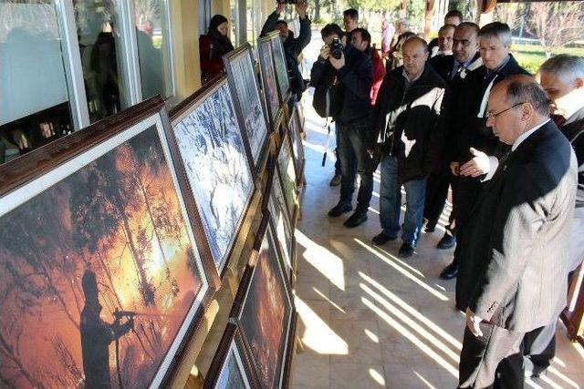 Alev Savaşçılarına Teşekkür Belgesi 2