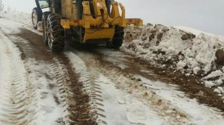 Kulp Belediyesi Karla M&uuml;cadele &Ccedil;alışmalarına Devam Ediyor