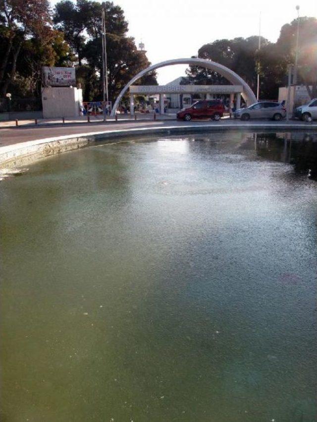 İzmir Soğuk Rekoru Kırdı, Süs Havuzları, Seralar Dondu