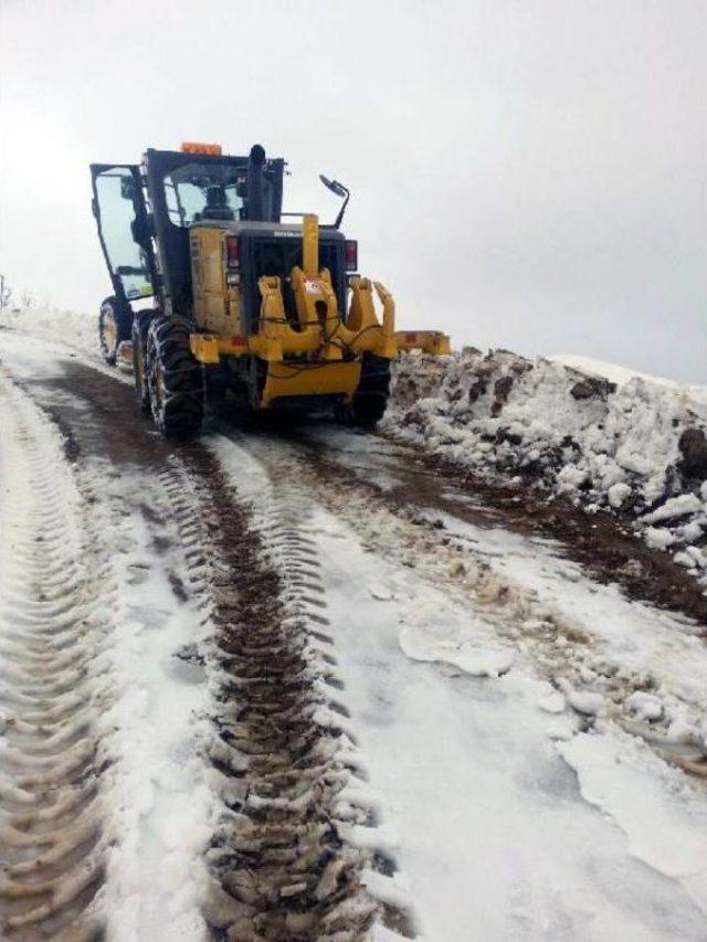 Güneydoğu Kara Teslim Oldu