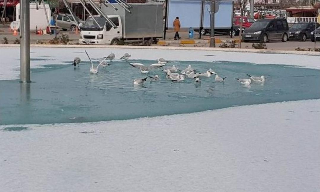 Bandırma&rsquo;da S&uuml;s Havuzları Dondu