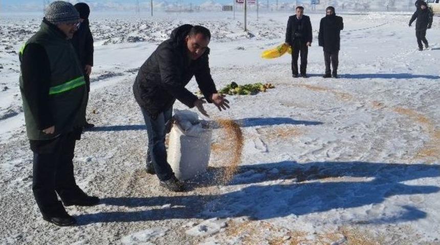 Konya&rsquo;da Yaban Hayvanları İ&ccedil;in Yem Bırakıldı