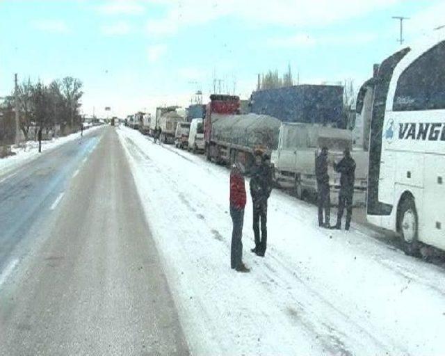 Kapanan Yol Nedeniyle 5 Büyükbaş Hayvan Donarak Telef Oldu